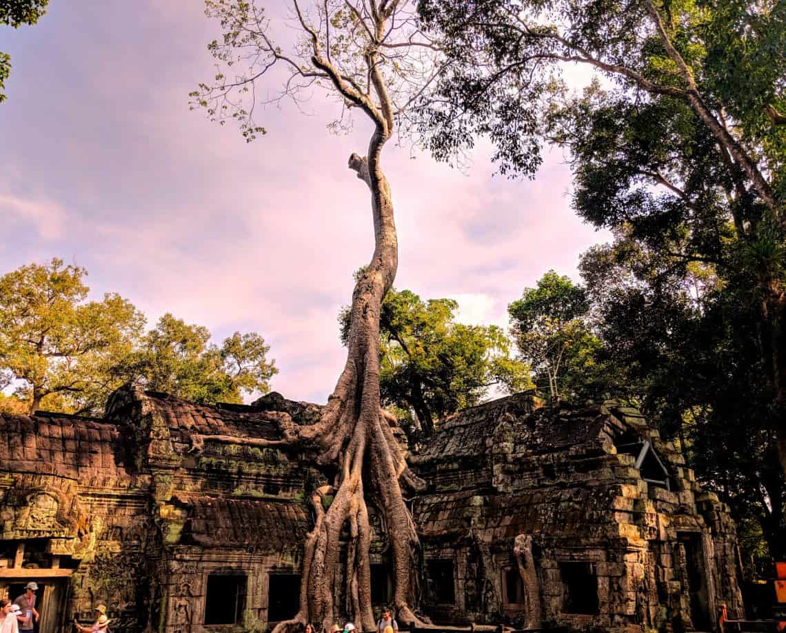 Things to do in Cambodia Siem Reap Phnom Penh