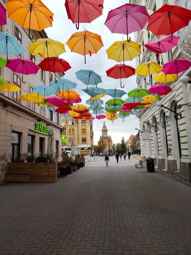 24 hours in Timisoara