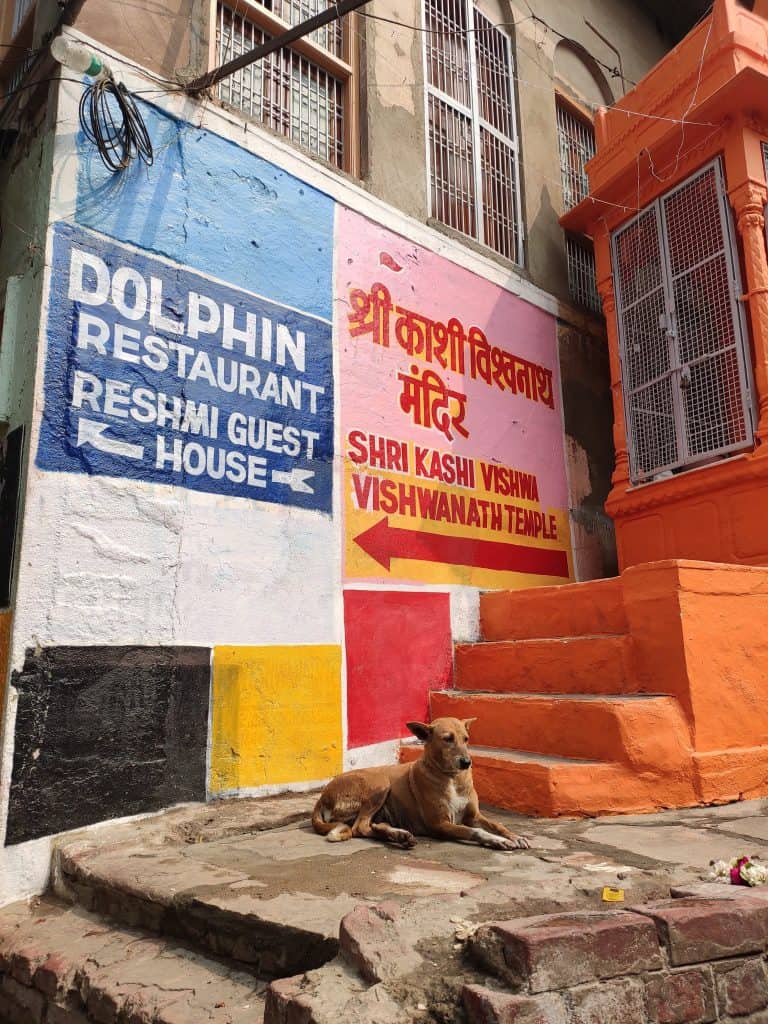 48 hours in Varanasi streets