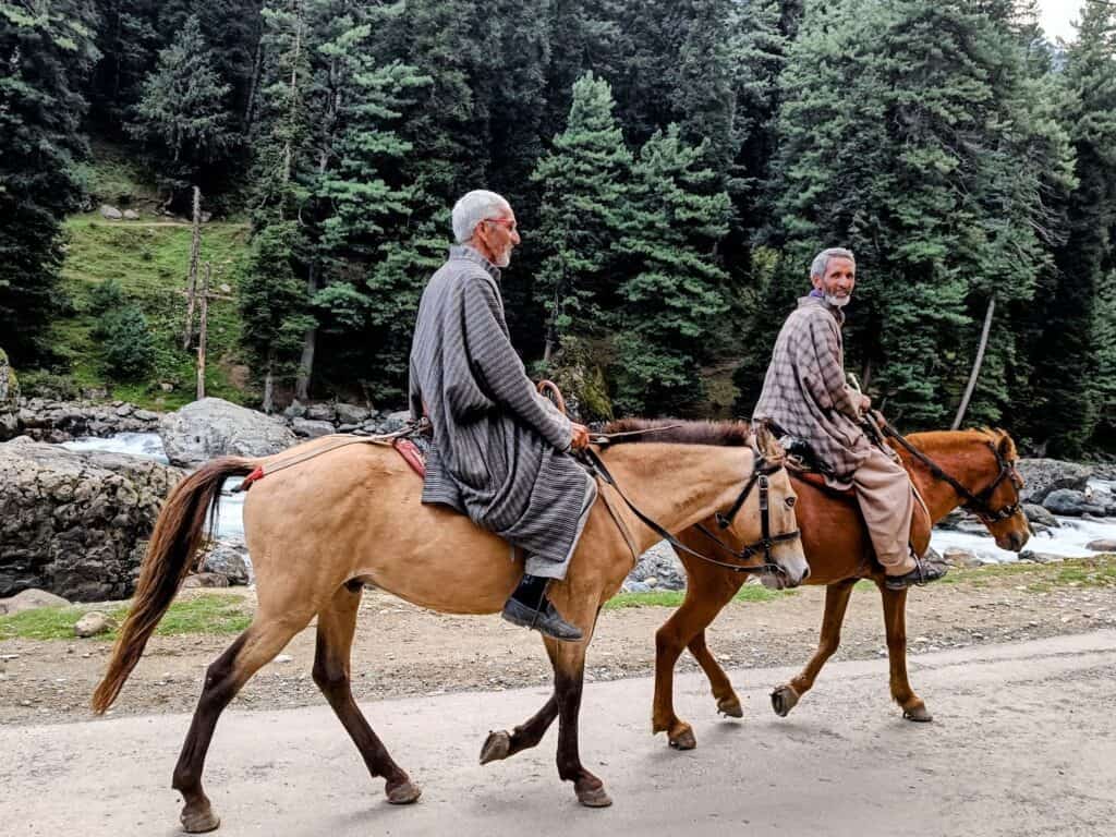 5 days in Kashmir road trip Pahalgam scenes